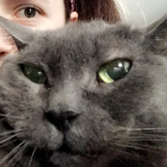 Meet your Posher, Kris - Picture 1 of 1